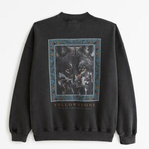 Abercrombie and Fitch Yellowstone Pullover Hoodie Sweatshirt